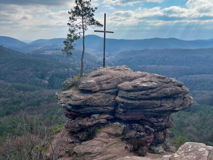 23-02-28 11-40-21 4461